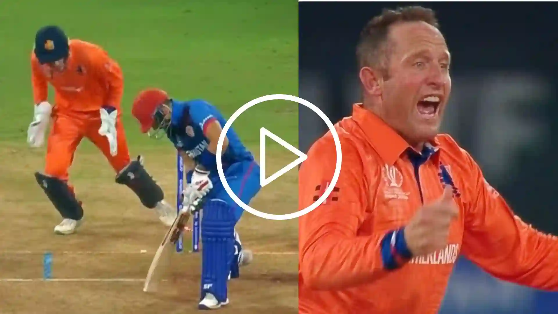 [Watch] 'Bulldog' Roelof Van Der Merwe's Lethal Delivery Stuns Afghanistan